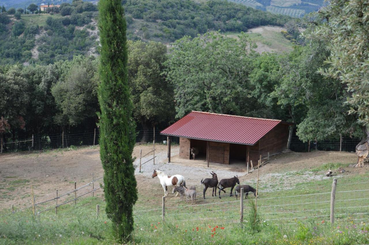 Bellavista Villa Seggiano Exterior photo