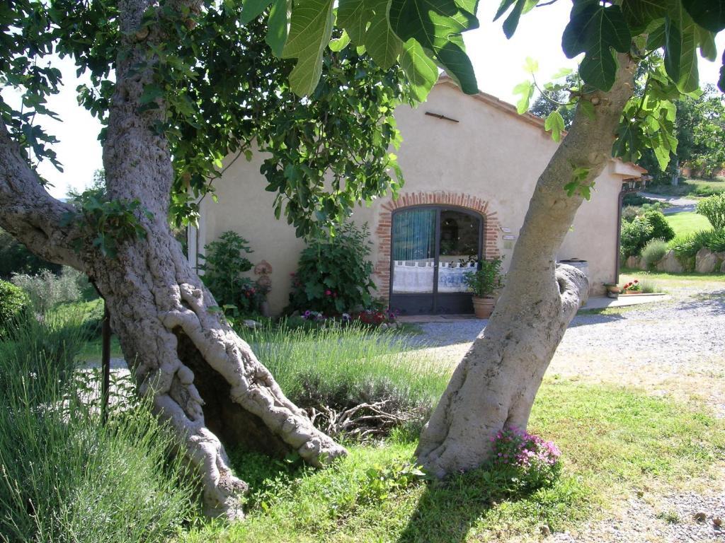 Bellavista Villa Seggiano Exterior photo